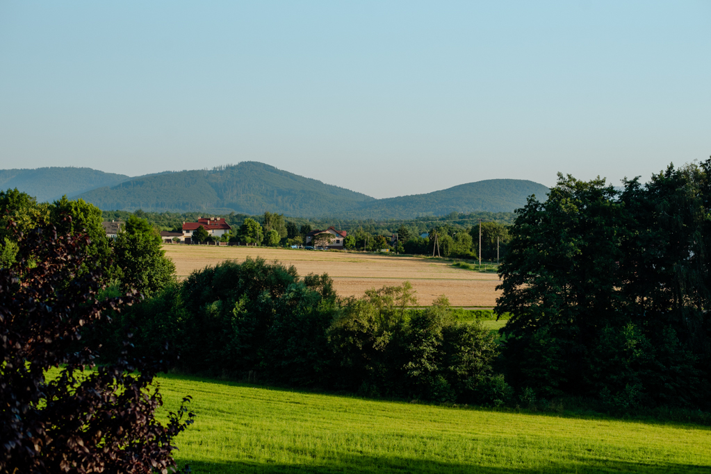 Sale weselne 